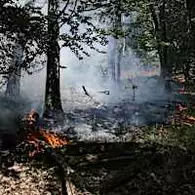 Η πυρκαγιά στο Φονταινεμπλώ έχει αποδεκατίσει το 5% του δάσους, αναφέρουν οι αρχές