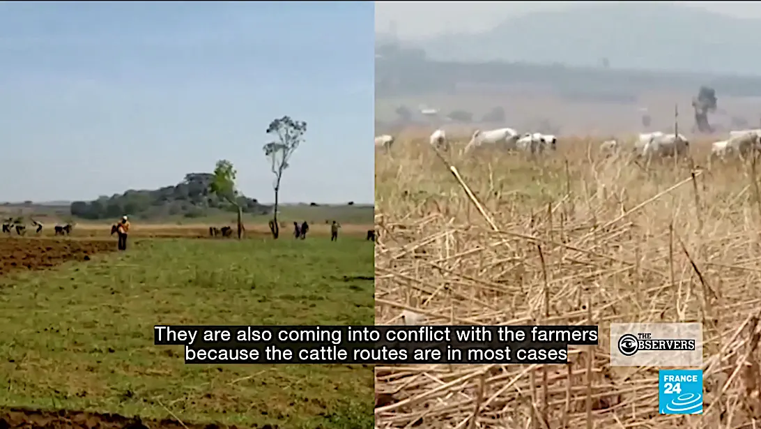 The Observers - Violence between farmers and herders in Nigeria's Middle Belt escalates
