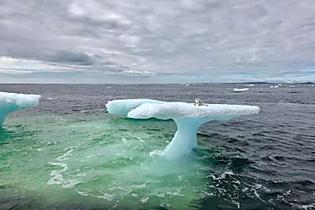 [Pics] Fishermen Think They Found A Seal On A Floating Iceberg Until They Got A Closer Look