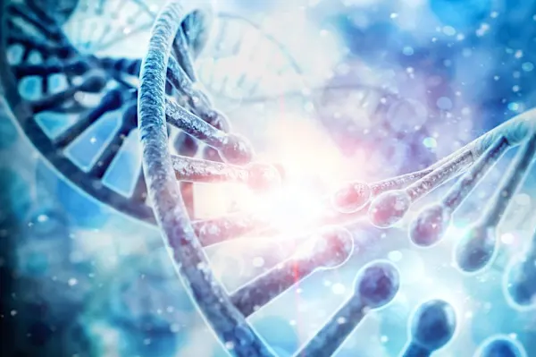 Researchers Turn Methylated DNA Profiling Method Towards Prenatal Testing Applications