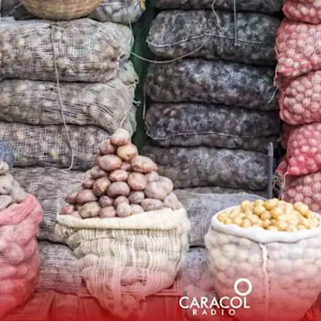 Razones por las cuales los precios de la papa están “por las nubes”