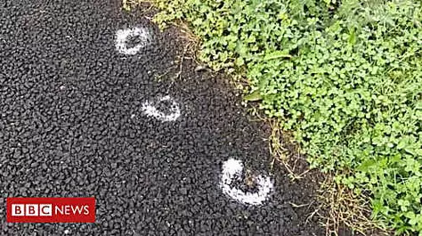 Dog poo painter warned to stop