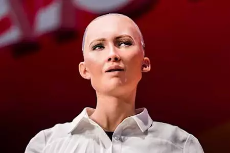 They let an AI robot handle $250 – what the first results look like