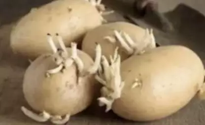 Le persone con dolori articolari dovrebbero leggere questo articolo