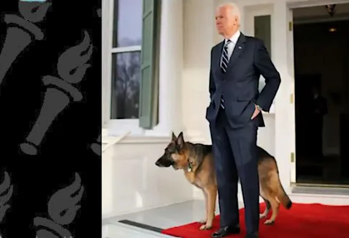 Πώς γράφετε «ενότητα»;  Ο Pix αναδύεται από τα σκυλιά του Μπάιντεν που δαγκώνουν το παιχνίδι μάσης του Τραμπ