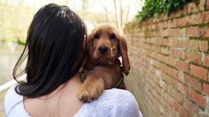 Can dogs help us avoid hiring bias?