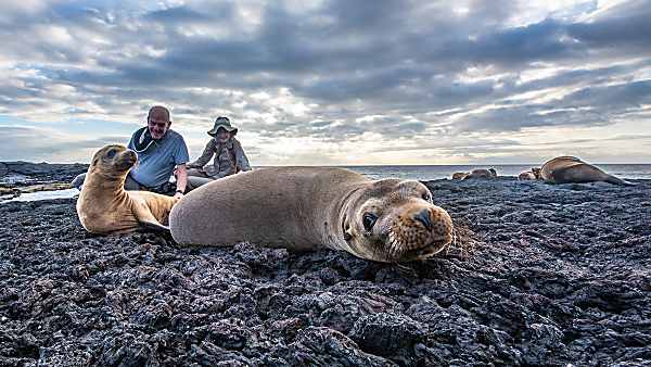 Last spaces available! Galapagos cruises from US$ 3165.