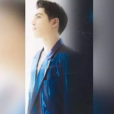 斯特爾、尼倫薩德和《房間》的獨唱生涯