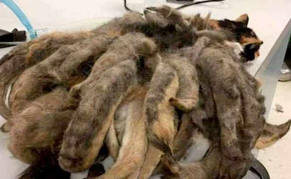 [Pics] Man Visits His Elderly Relative And Sees This Under The Bed, Then He Realizes What It Is