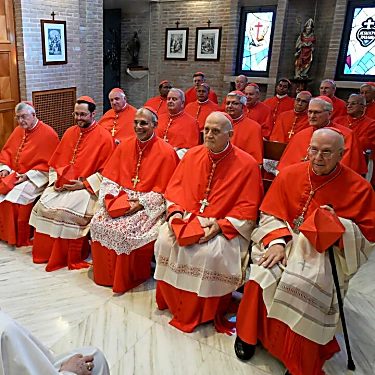 Ο Πάπας Φραγκίσκος διευρύνει τις τάξεις των καρδιναλίων που είναι επιφορτισμένοι με την εκλογή νέου εκκλησιαστικού ηγέτη