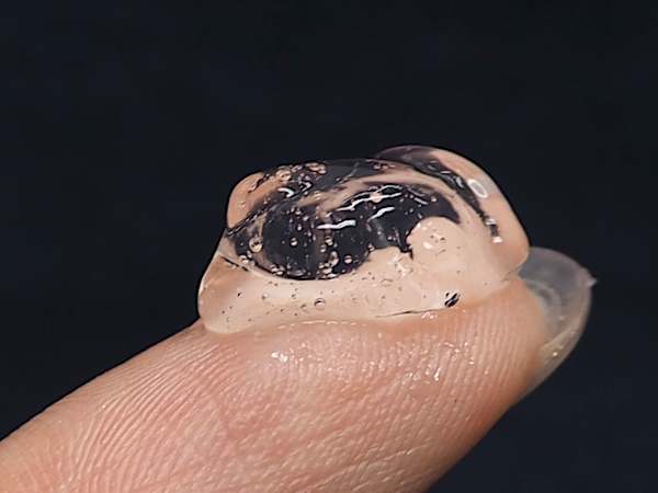 55歳、絶対に教えたくなかった若見えの秘策は「コラーゲンの専門家」が作った化粧品