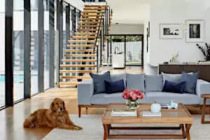 Home Design With the Dog in Mind