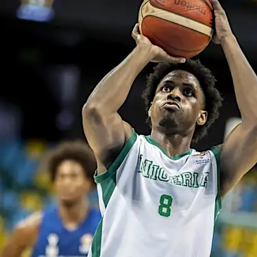 Nigeria's D'Tigers awarded 20-0 win against Mali