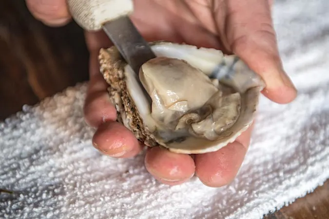 20 Things To Never Order At A Restaurant, Ranked In Order