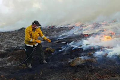 Police Scotland declares major incident amid Cairngorms wildfire