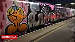 Graffiti 'thugs' vandalise £17m train