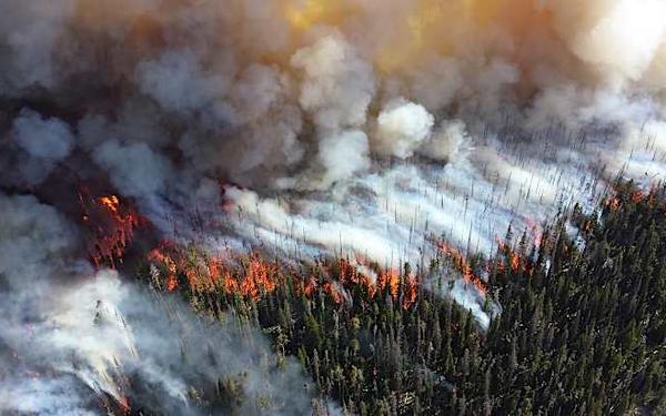 Incendios 2019: un verano de condiciones extremas