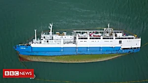 Sheep drowned in overturned ship shown in drone footage