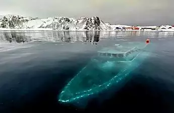 [Pics] They Uncovered The Ice And Revealed An Incredible Discovery