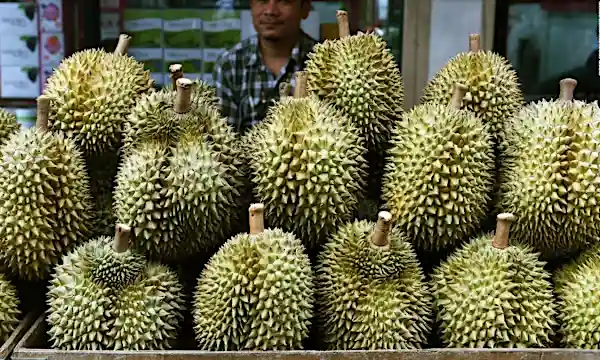 Stinky durian fruit grounds passenger plane