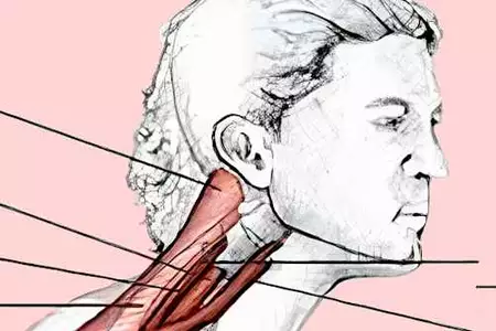 כמעט אף אחד לא מכיר את הטריק הזה – אבל הצוואר יודה לכם