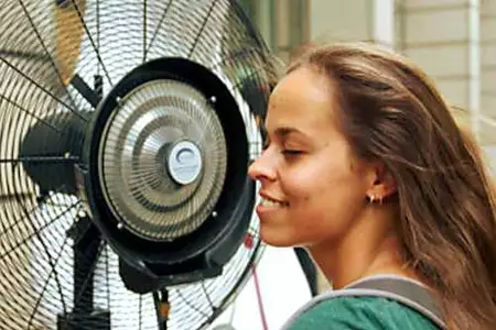 [Pics] Scientists Say Sleeping With A Fan On Can Be Bad For Your Health