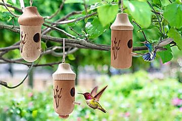 Hummingbird House: It Looks So Adorable.
