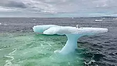 [Pics] What These Fishermen Found On An Iceberg Left Them In Disbelief