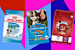 The best puppy food of 2024, according to veterinarians