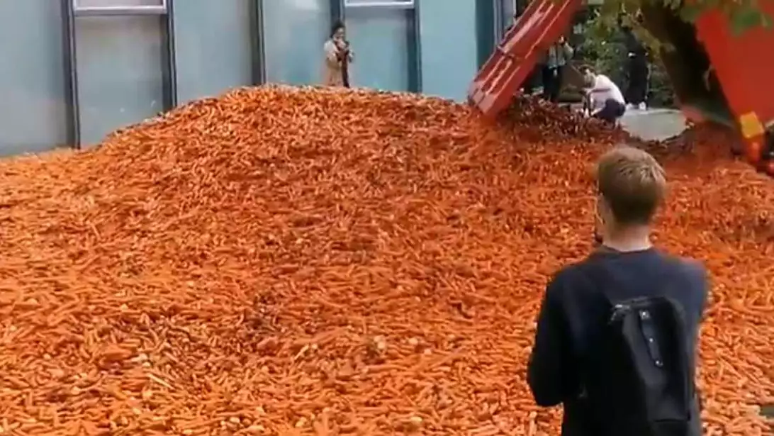 Truck load of carrots dumped outside London university