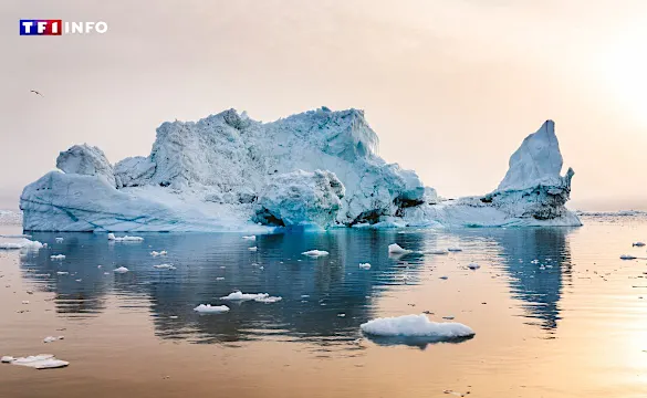 Mégatsunami au Groenland : cette vague de 200 mètres qui a fait vibrer la Terre pendant 9 jours