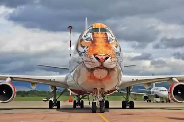 50+  Aircraft Are Painted In An Incredible Way