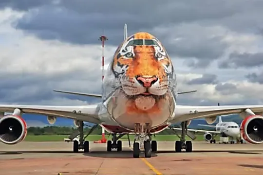50+  Aircraft Are Painted In An Incredible Way
