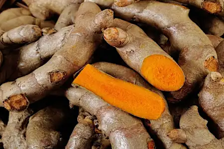 Aumente seu nível de energia parando de comer esses 3 alimentos Aumente seu nível de energia parando de comer esses 3 alimentos