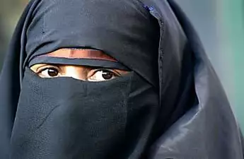 UN panel condemns French ban on full-face veils as violation of human rights