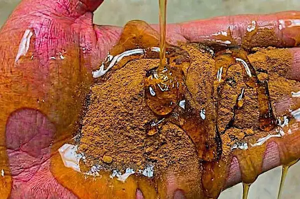 Honey: The Greatest Enemy of Memory Loss (See How to Use It)