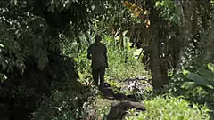 [Pics] Man Found In The Jungle Claims To Be A Missing Vietnam POW. Then A D.N.A Test Reveals The Truth