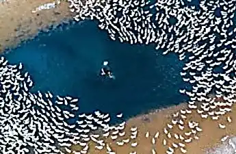 [Photos] Drone Captures What No One Was Supposed to See