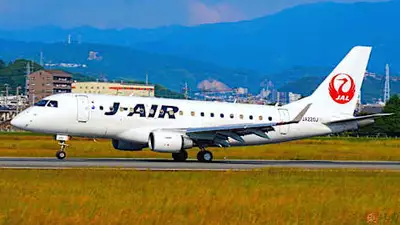 「日本一着陸が難しい空港」への珍着陸、コクピットから見ると!? 「とても貴重な映像」「ビックリです」JALグループの投稿に驚嘆（1/2 ページ）