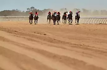 'Mass slaughter' of Australian racehorses rocks industry