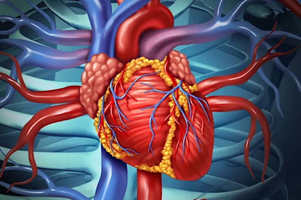 Cardiovascular crisis: NCS urges FG to release funding for screening of risk factors for Nigerians