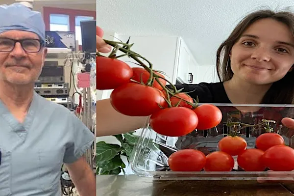 Surgeon Reveals What Happens After Eating Tomatoes