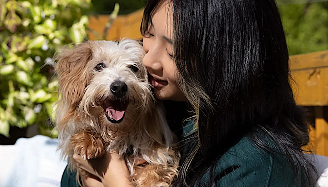 See how biology-based nutrition can help your small dog live large.