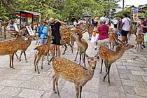 「移住したい国ランキング」日本の順位はなんと…！