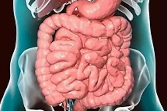 Gut Doctor Begs Brits To “Flush Out” Bowels With This Tip (Every Morning)