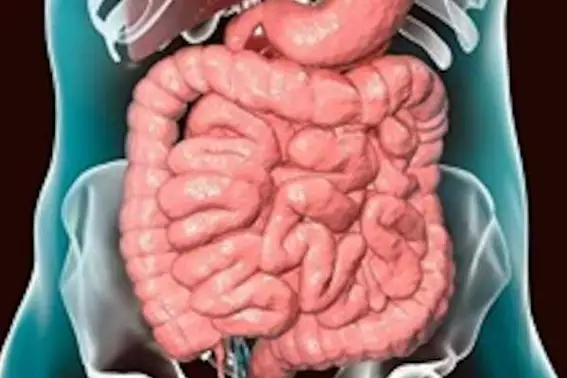 Gut Doctor Begs Brits To “Flush Out” Bowels With This Tip (Every Morning)