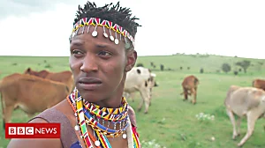 The Maasai boy who chased away lions