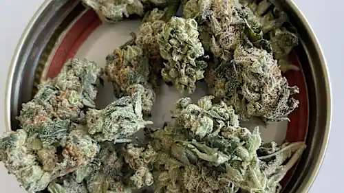 New Jersey Find Out How Others in Colts Neck Are Getting Weed Delivered