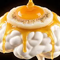 Honey: The Greatest Enemy of Memory Loss (See How to Use It)