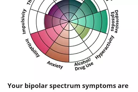 What Are The First Red Signs Of Bipolar Disorder? Take A Peek!